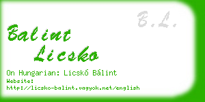 balint licsko business card